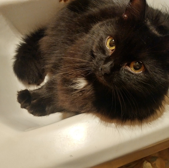 Just Breathe.. - Picture 3 of 5